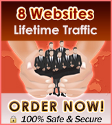 Lifetime Traffic 8 Websites